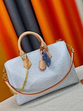 NWT - Louis Vuitton Authentic Bags